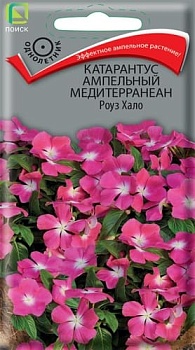 Катарантус ампельный Медитерранеан Роуз Хало  10 шт