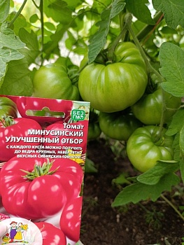 Томат Минусинский Улучшенный Отбор 20шт