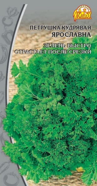 яр (1) (1) (1)