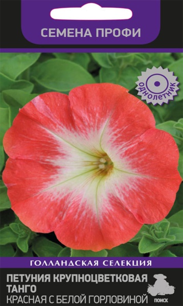 e4c98a78cd3610bd394ded6638367133