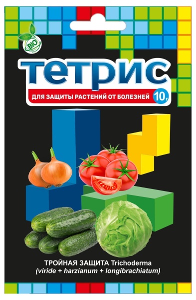 тетрис (1) (1)