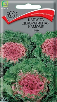 Капуста декоративная Камоме Пинк (10шт)