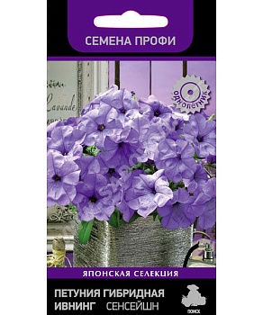 Петуния гибридная Ивнинг Сенсейшн 5шт 