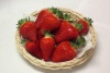 zemlyanika_asia_nf_421