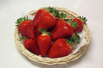 Клубника Азия НФ 421 (Р9)