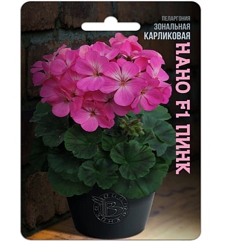 Пеларгония Нано Пинк карликовая 5шт