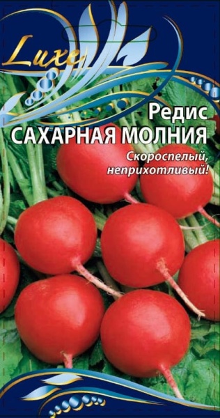 2a65114919725d23ca797ed70efc868a (1) (1)