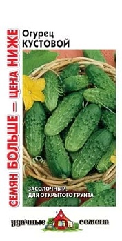 Огурец Кустовой (1гр)