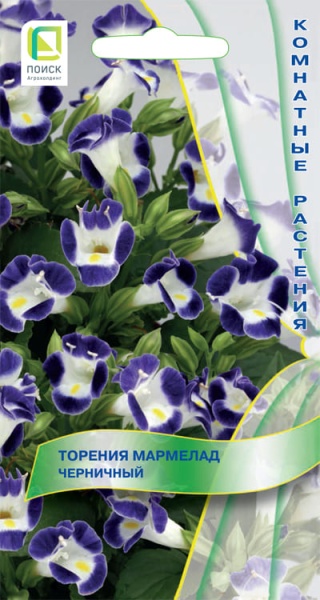 torenia_marmelad_chernichny (1)