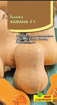 Тыква Хавана F1 3шт