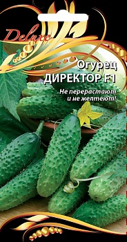 Огурец Директор 