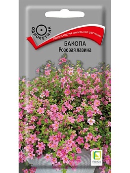 Бакопа Розовая Лавина (5шт) 