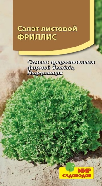 Салат лист. Фриллис