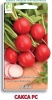 redis_saksa (1)