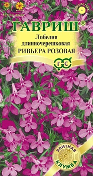 Лобелия Ривьера Розовая 4 шт.