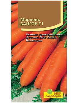 Морковь Бангор F1 (180 шт)