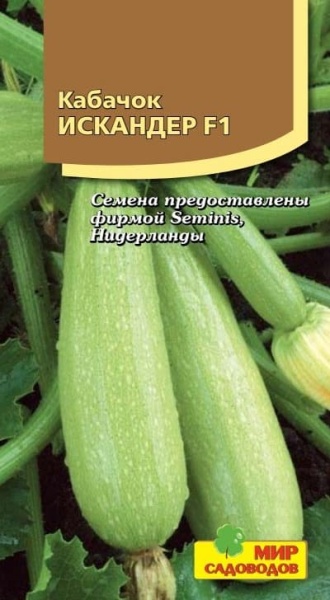 2025-10-12_10-31-53