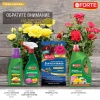 full_roze_krasota_partner-min