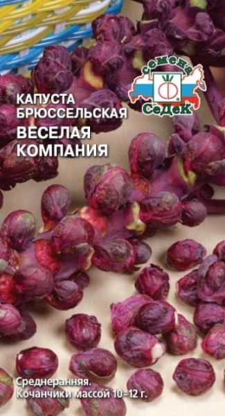 kapusta_veselaya_kompaniya (1) (1) (1)