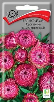 Гелихризум Королевский размер Малиновый (0,1гр)