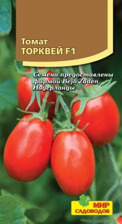 Томат Торквей