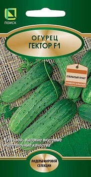 Огурец Гектор F1 10 шт. (Голландия)