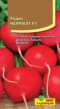 Редис Черриет (100шт)