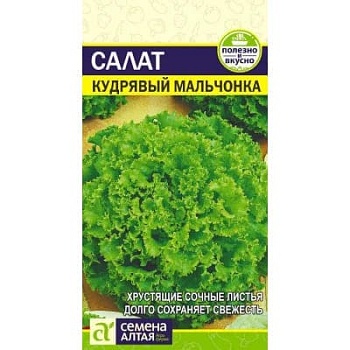 Салат Кудрявый мальчонка (1гр)