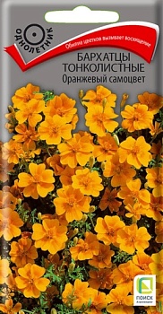 Бархатцы тонколистные Оранжевый Самоцвет (0,1гр) 