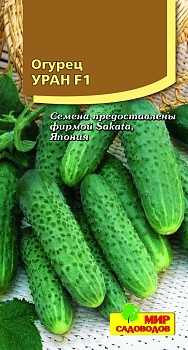 Огурец Уран F1 (10шт)