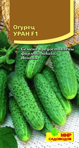 Огурец Уран
