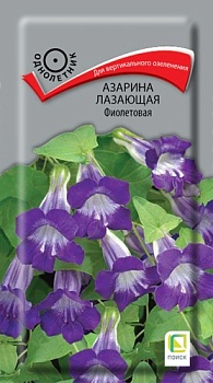Азарина лазающая Фиолетовая (10шт)