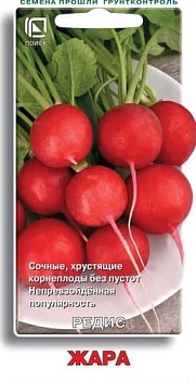 Редис Жара (3гр.) (бел.пакет)