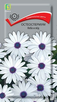 Остеоспермум Небо и Лед (0,1гр)