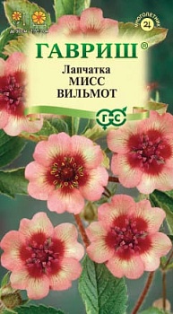 Лапчатка непальская Мисс Вильмот (0,1гр)