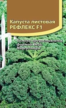 Капуста листовая Рефлекс 10шт.