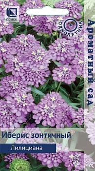 Иберис зонтичный Лилициана (0,1гр)