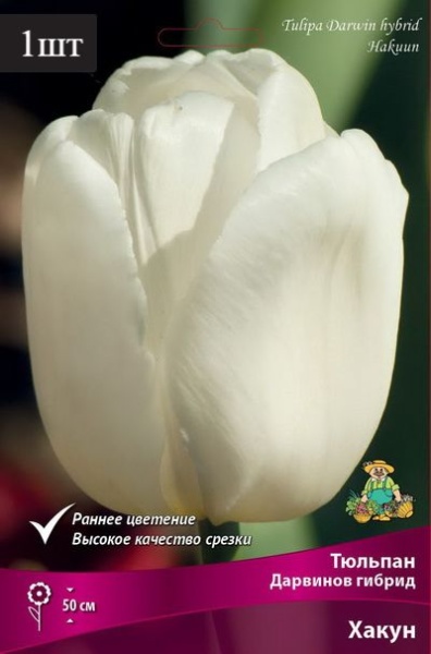image (57)