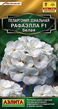 Пеларгония Рафаэлла F1 Белая 5шт