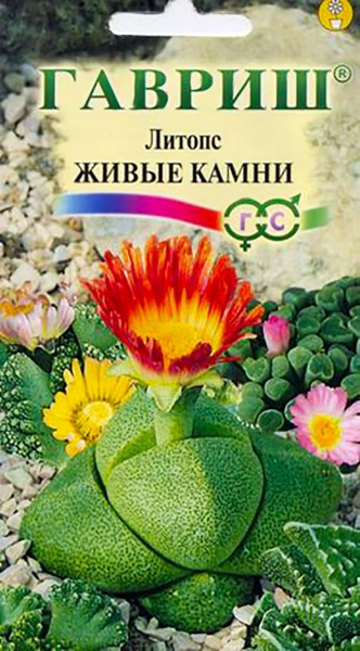 154c68bd9b3f54c1cf9283e40006fe49 (1)