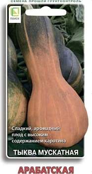 Тыква Арабатская мускатная 10шт