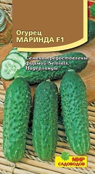 Огурец Маринда F1 ( 5 шт)