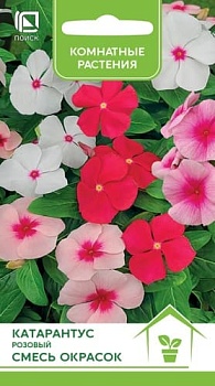 Катарантус розовый Смесь окрасок 0,1гр.