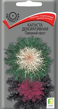 Капуста декоративная Павлиний хвост (7шт) (однолет.) (цвет.пакет)  -  П