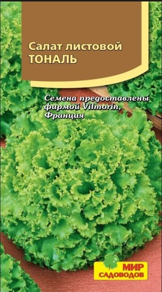 2025-10-12_07-50-15