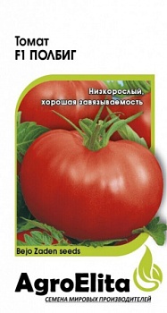Томат Полбиг (10шт)