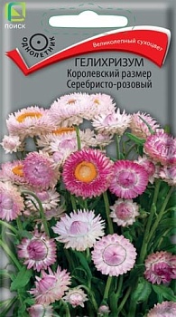 Гелихризум Королевский размер Серебристо-Розовый (0,1гр)