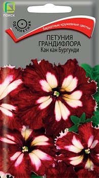 Петуния грандифлора Кан Кан Бургунди (10шт)