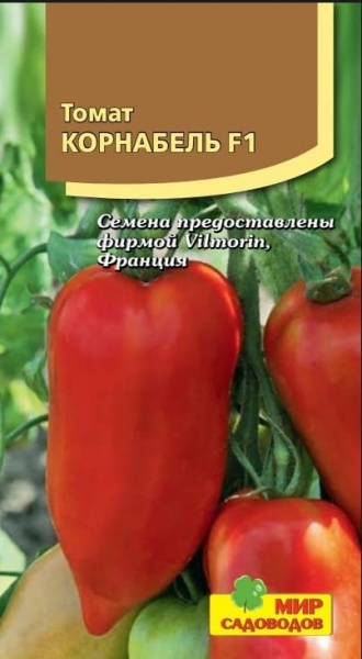 2025-10-11_06-52-33 2025-10-11_06-52-33