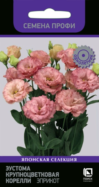 eustoma_krupnocvet_korelly_eprikot